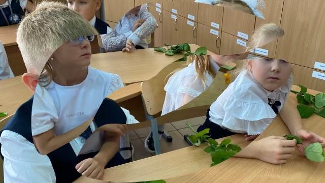 Жизнь 1 класса