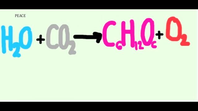 Photosynthesis and Cell Respiration Song! смотреть онлайн
