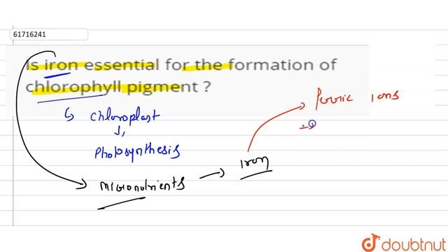 Is iron essential for the formation of chlorophyll pigment ? смотреть онлайн
