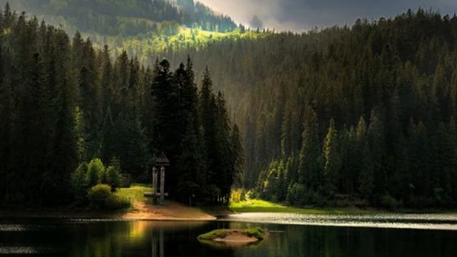 Збережи природу смотреть онлайн