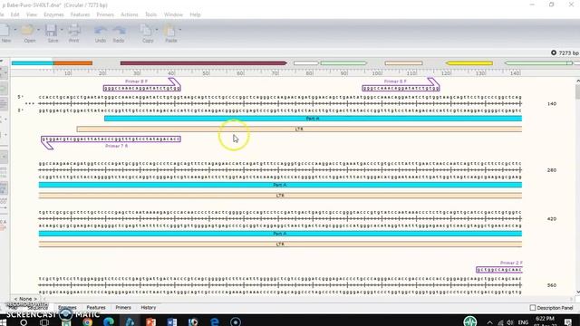 Design Primers To Amplify Small DNA Fragments.OVERLAP Pcr. PART 1.