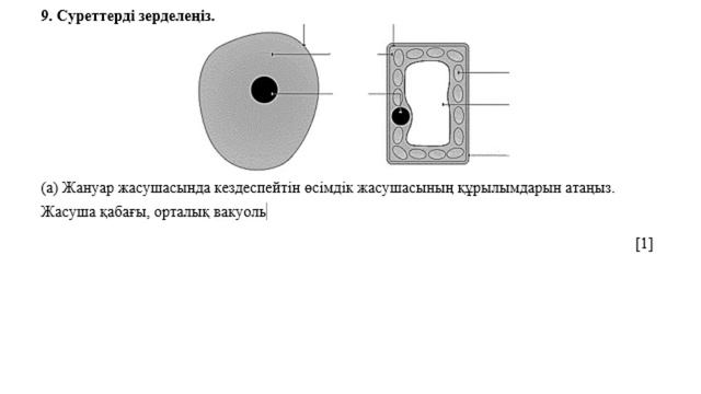 7 сынып Биология 1 тоқсан ТЖБ смотреть онлайн
