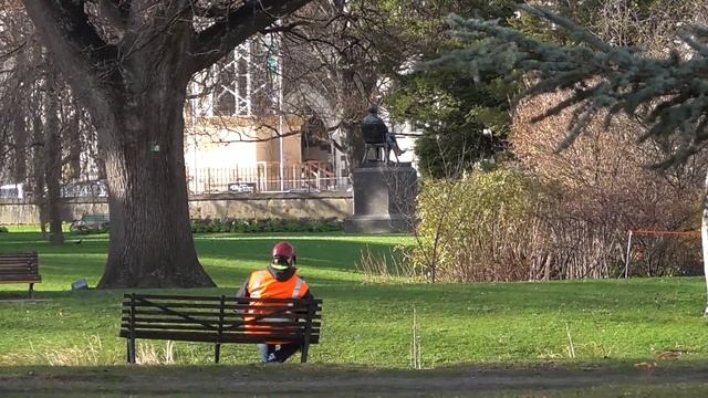 Botanic Gardens around Christchurch Hospital #6 (2016-07-06-14:25) смотреть онлайн