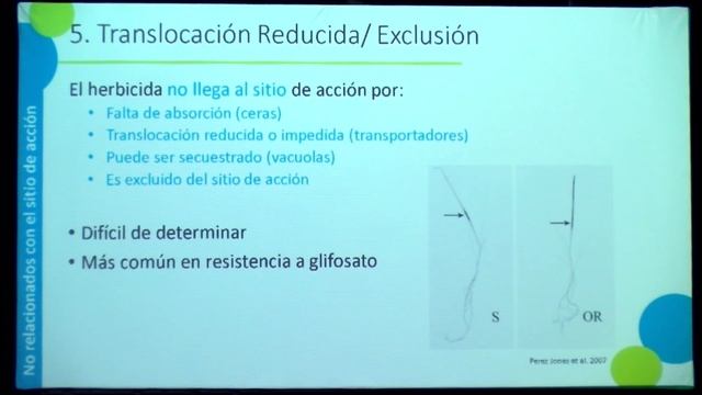 Mecanismo de resistencia a herbicidas: origen y consecuencias eco fisiológicas y evolutivas смотреть онлайн