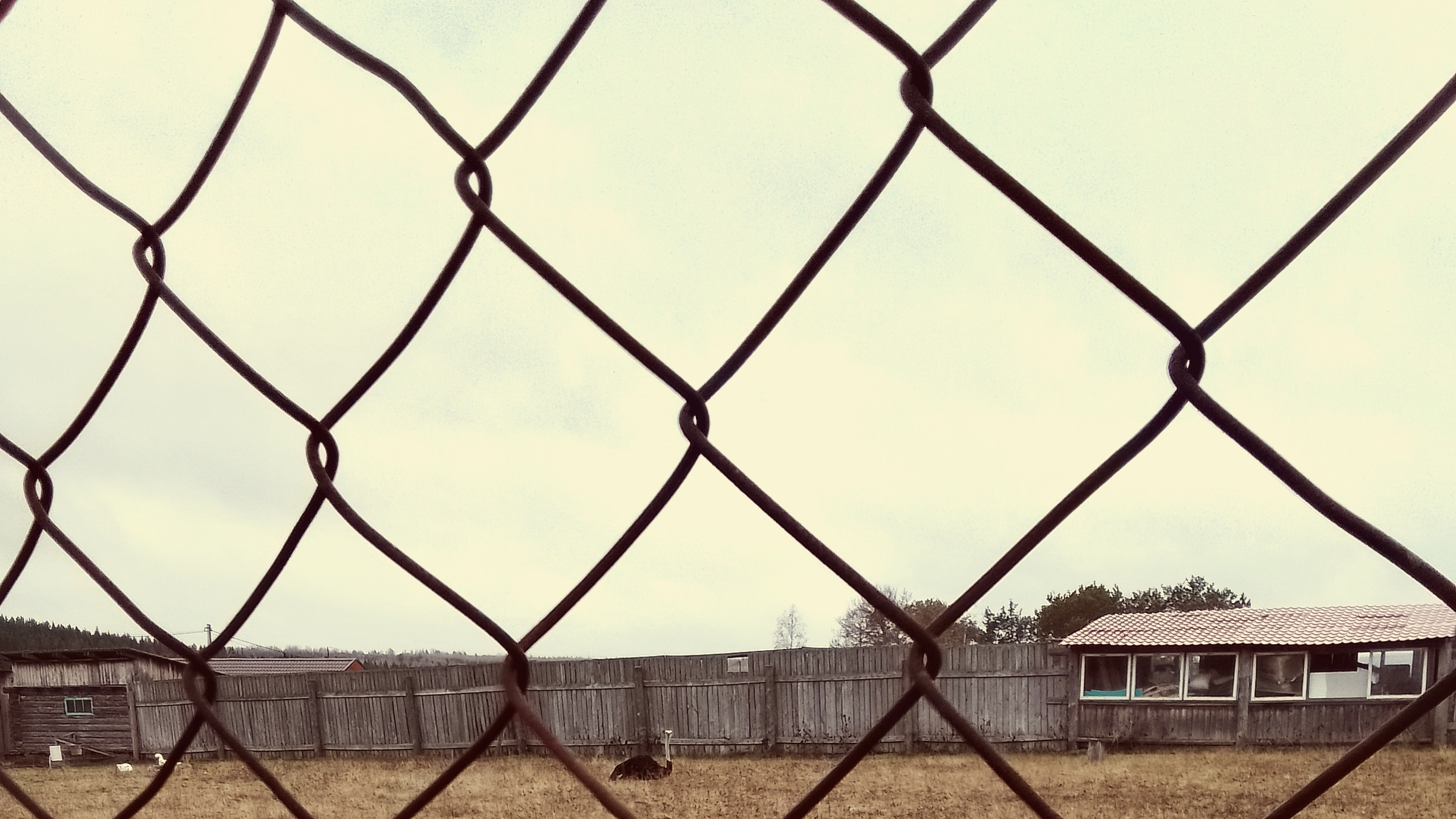 тур по висимской зооферме смотреть онлайн