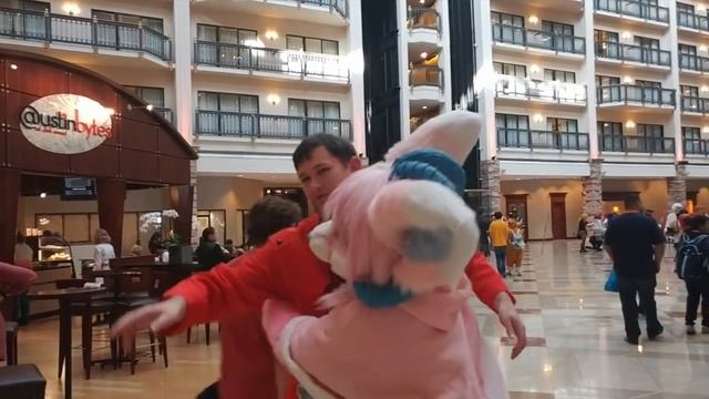 CandyPaws Goes To Ikki-con! смотреть онлайн