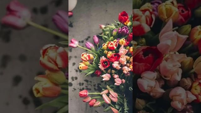 8 МАРТА. ПОЗДРАВЛЕНИЕ МИЛЫХ ДАМ смотреть онлайн
