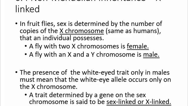 Non-Mendelian genetics смотреть онлайн