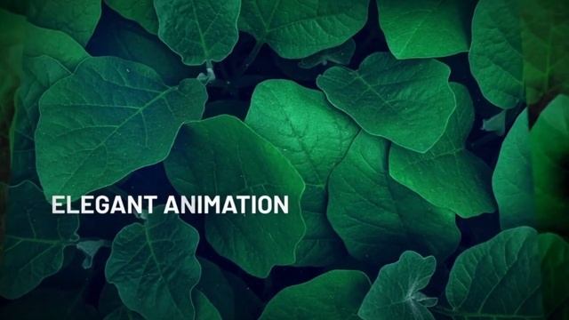 Parallax Slideshow смотреть онлайн