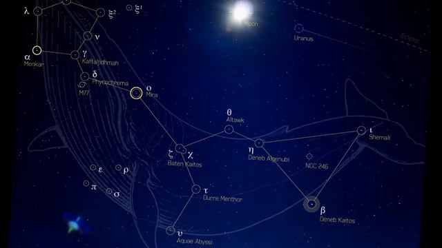 Cetus from Precession (The Piano Ecliptic) смотреть онлайн
