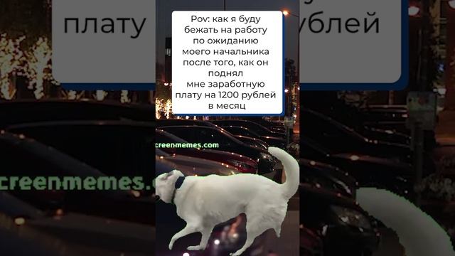 Зарплаты росли, росли, да не выросли 🥲 #юмор #медицина #врачи смотреть онлайн