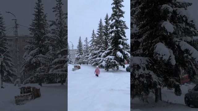 Снежный ноябрь на Урале, город Златоуст. Кудряшка барашка. смотреть онлайн
