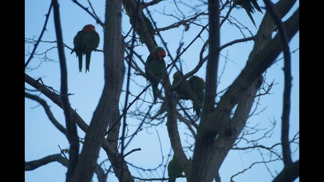 Telegraph Hill 2 смотреть онлайн