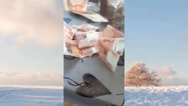 Пул одамни хеши булубтуакажонла❗❗❗🚯🇹🇯🇹🇯🇹🇯 смотреть онлайн