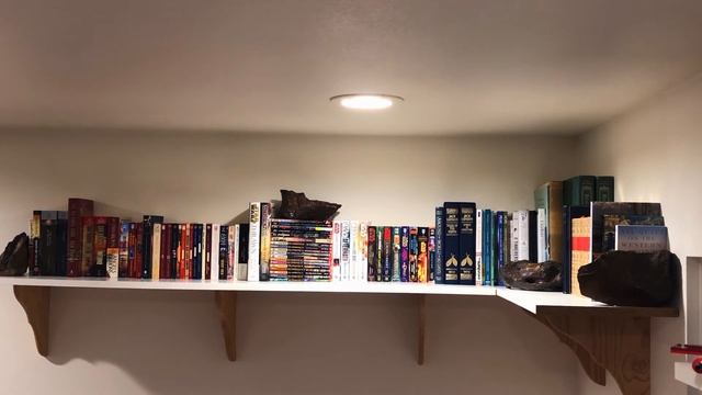Bookshelf Reorganization and Tour | An Erudite Adventure смотреть онлайн