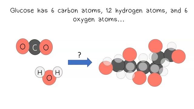 The Photosynthesis Reaction смотреть онлайн
