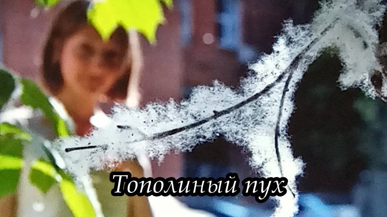 Тополиный пух (Разнесёт весна тополиный пух) смотреть онлайн