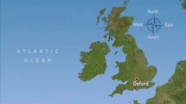 INSIGHT 1 ELEMENTARY DVD 4