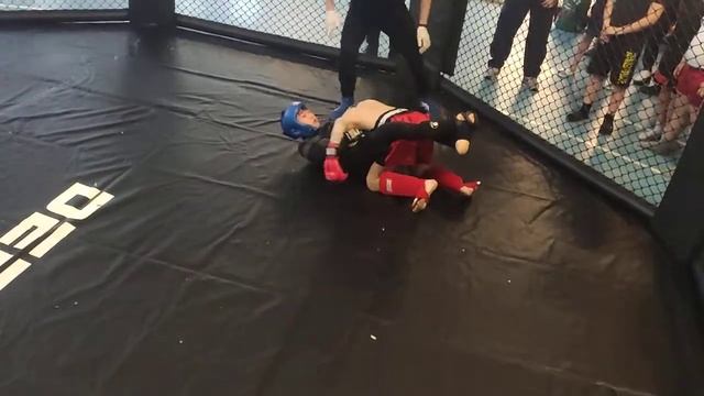 Dominator Extreme Fight 13 -16 смотреть онлайн