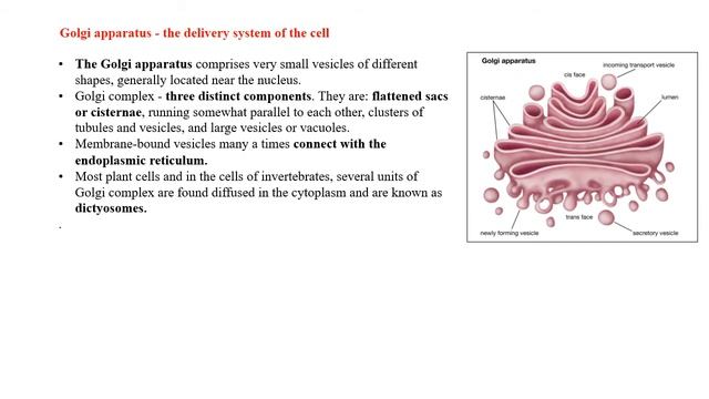 Cell The Structural and Functional Unit of Life Class 9 ICSE смотреть онлайн