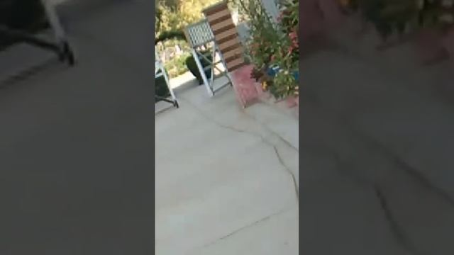 Beauty of sindh university ,Botanical department смотреть онлайн