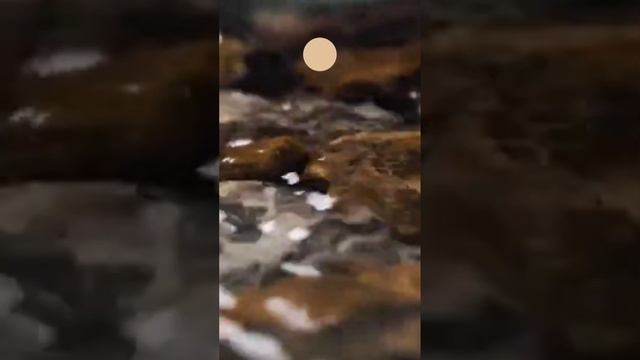 Дахание Сам Вон Гонг