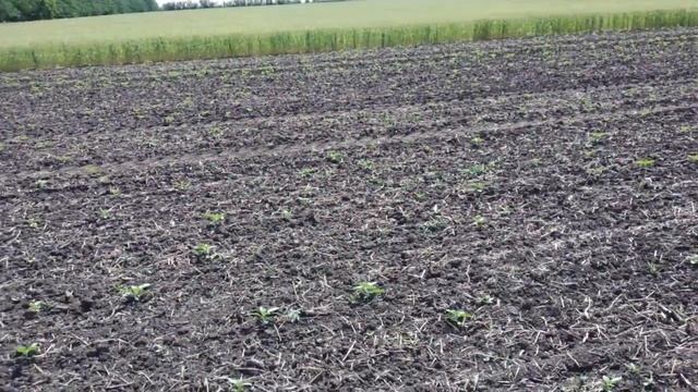 7.06.23.✖️LG-59580✖️.ОП-3000.АЛЕ ВІДЕО✖️ РЕАКЦІЯ✖️ смотреть онлайн