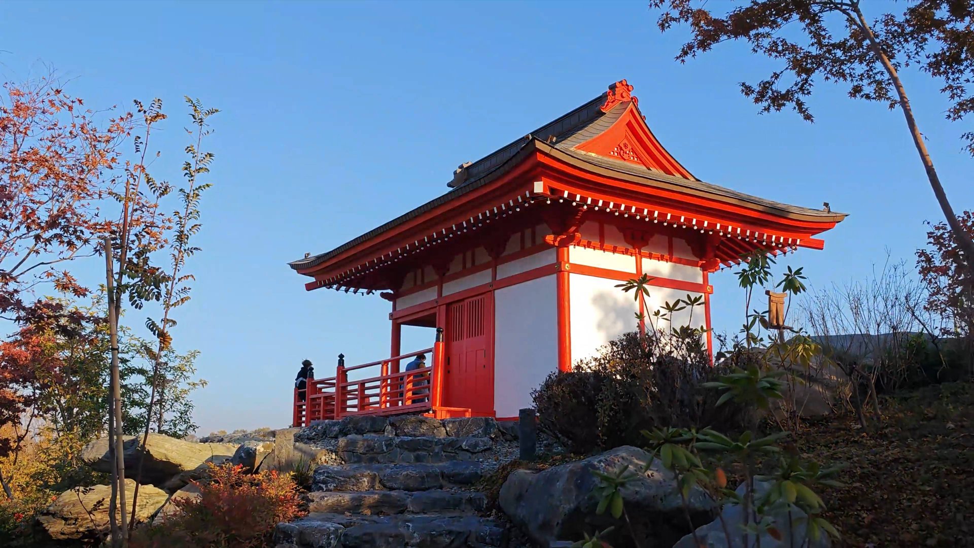 Японский сад Краснодар, осень прогулка 1ч смотреть онлайн