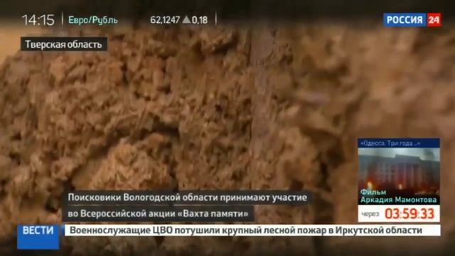В ржевских лесах поисковики отдают долг погибшим солдатам смотреть онлайн