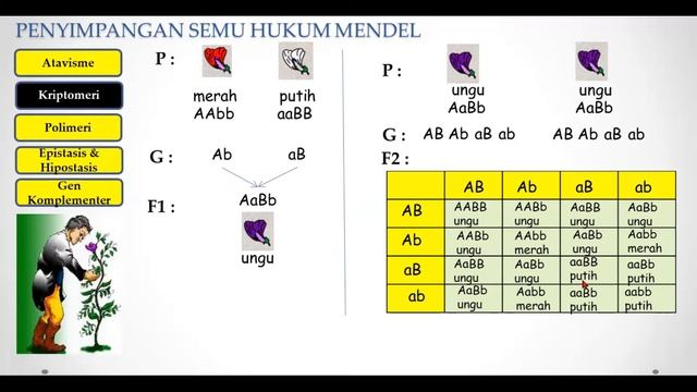 Penyimpangan Semu HUKUM MENDEL смотреть онлайн