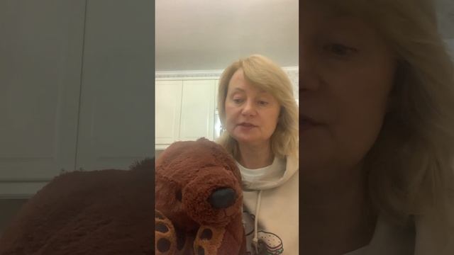 как ежик встречал рассвет. Сказка на ночь смотреть онлайн