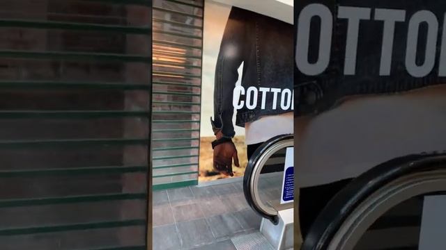 We have dinner date with our friends in Casino Restaurant in Queenstown смотреть онлайн