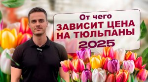 Цена на тюльпаны в 2025 году 🌹
