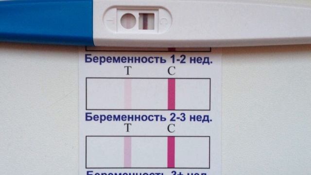 HOMILADORLIK TESTINI QACHON QILISH KERAK? / ХОМИЛАДОРЛИК ТЕСТИНИ КАЧОН