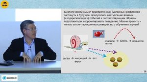 Вячеслав Дубынин: «Мозг и обучение» (Лекция 24)