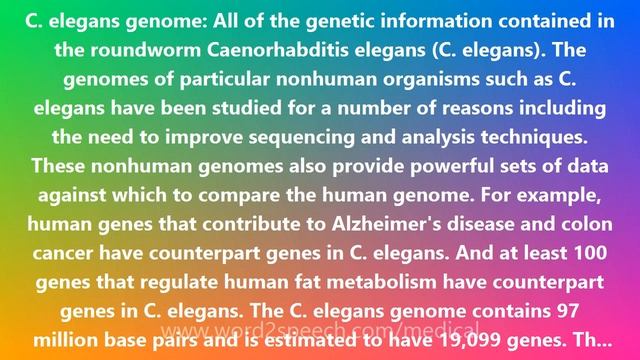 C. elegans genome - Medical Definition смотреть онлайн