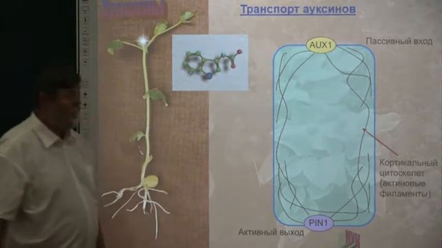 Биология Часть 1 18 06 2021 смотреть онлайн