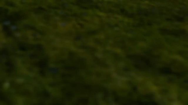 DEATH STRANDING: The Series. Episode 2: Amelie (Cinematic Fan Edit) смотреть онлайн