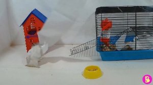 НАРЕЗКА СМЕШНЫХ МОМЕНТОВ 2019 КАЖДЫЙ ХОМА ТАКОЙ