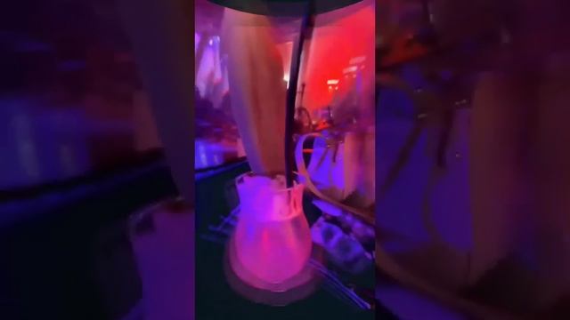 Москва-любит смотреть онлайн