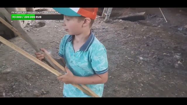 воскресное приключение с 10 #хаски смотреть онлайн
