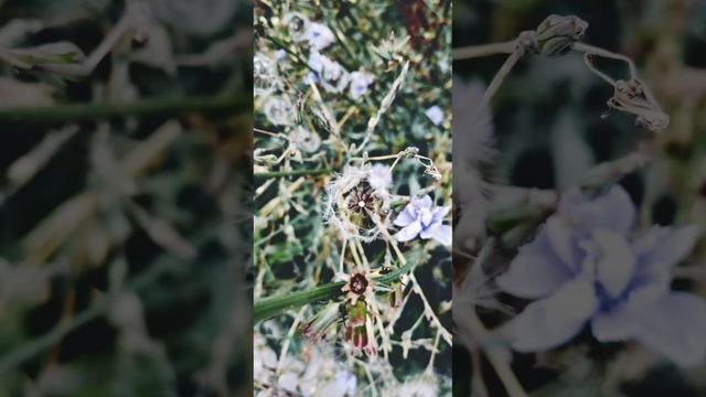 Главное сказку не спугнуть 🧚 смотреть онлайн