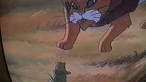 ОБЗОР ОРИГИНАЛЬНЫХ VHS С КРИСТАПС ПОРЗИНГИС И МАРКУС. СМОТРЕТЬ ПЁС ИЗ ЛАСВЕГАСА И ВИДЕОКЛИПЫ!