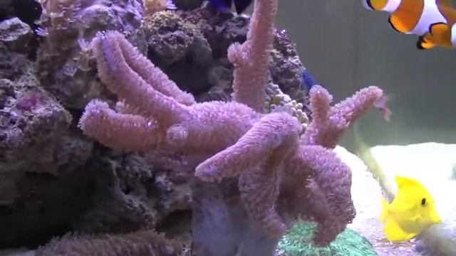 Round and round and round смотреть онлайн