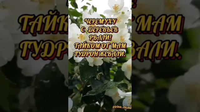 "Просто вспомним..."Для души. смотреть онлайн
