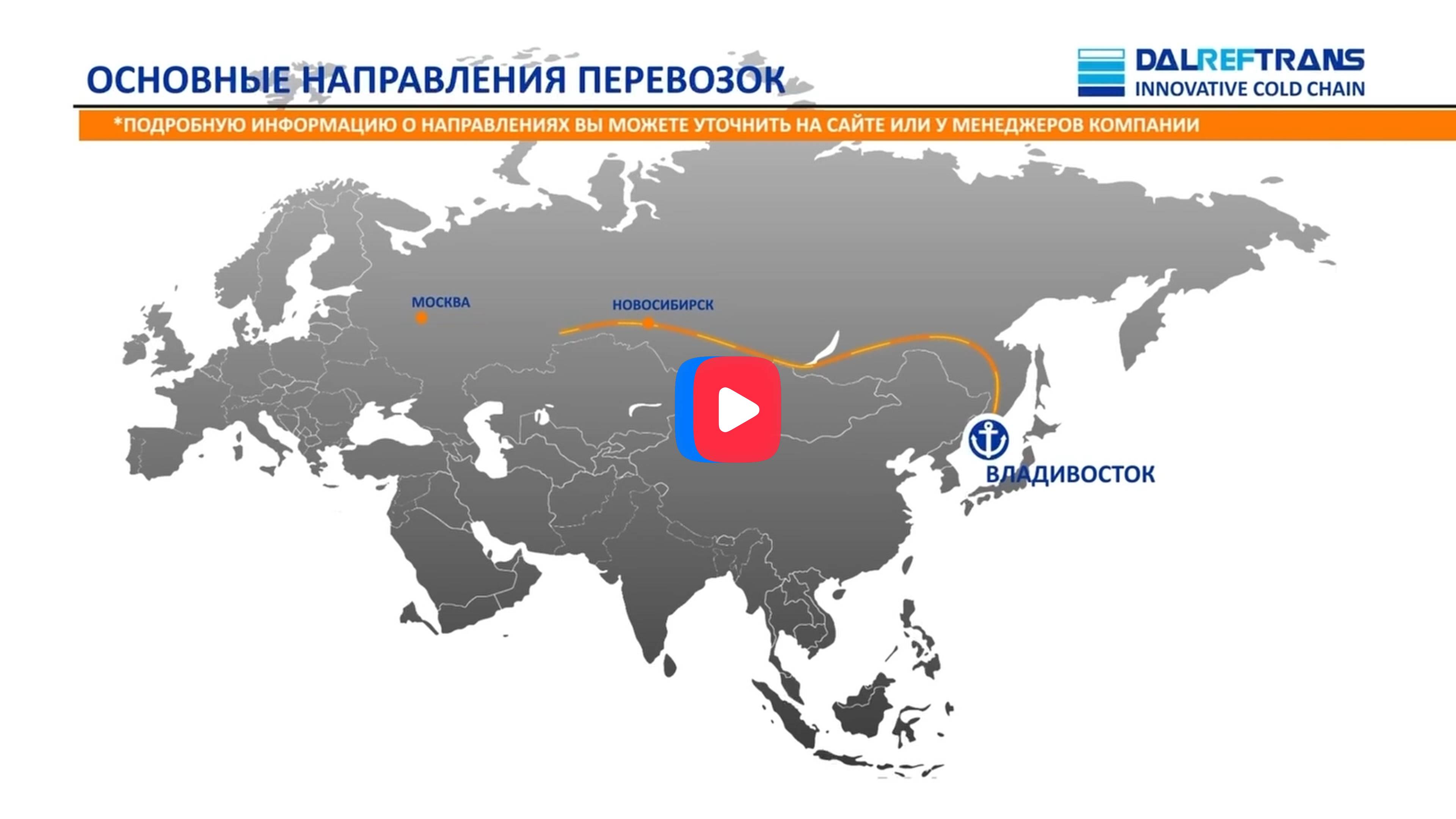 Showreel смотреть онлайн