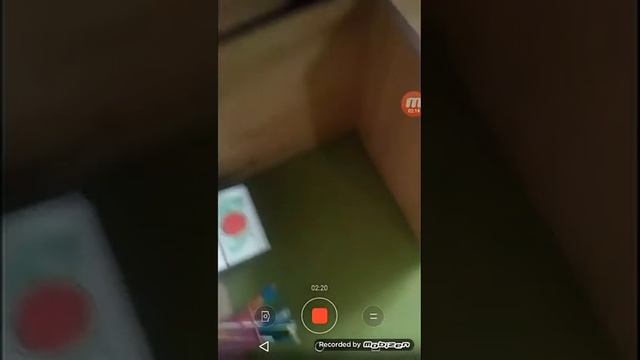 Обзор на пестик,крипера и два спинера смотреть онлайн