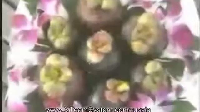 Мангостин СЕКРЕТ сока XanGO смотреть онлайн