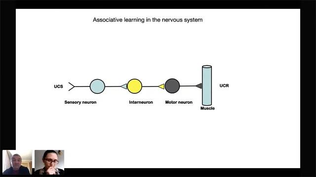 Ruslan Medzhitov - Brain-Body Interactions смотреть онлайн