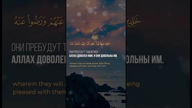 сердце ~ # ислам #мудрость #истина #цитаты #мусульмане #любовь #аскетизм смотреть онлайн